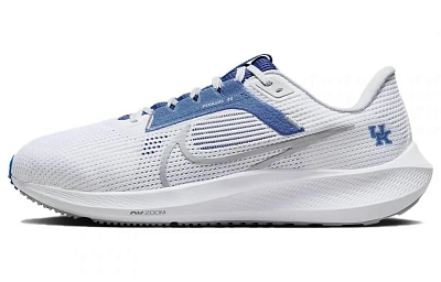Nike Air Zoom Pegasus 40 'Kentucky'