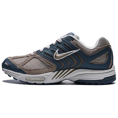 Nike Air Pegasus 2005 Casual Shoes Men's Blue Brown