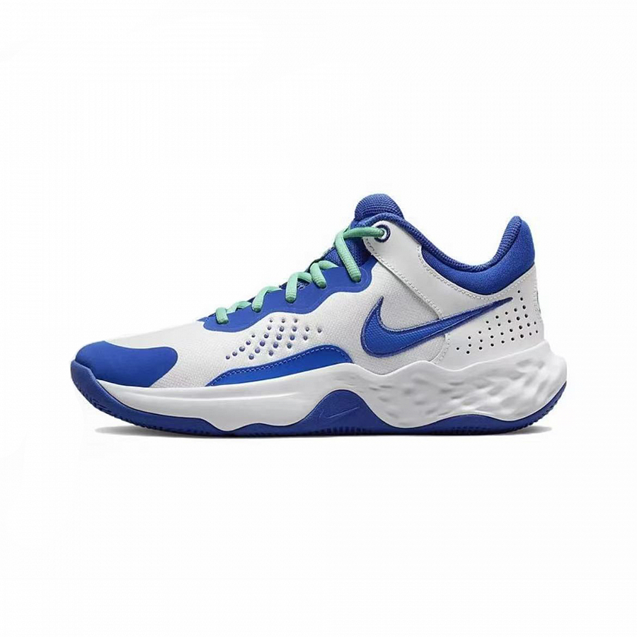 Nike Fly By Mid 3 Night Navigator PRO Scraping Mops Mid Top Basketball Shoes Men's White Blue купить в интернет-магазине Yoocart с быстрой доставкой по России.