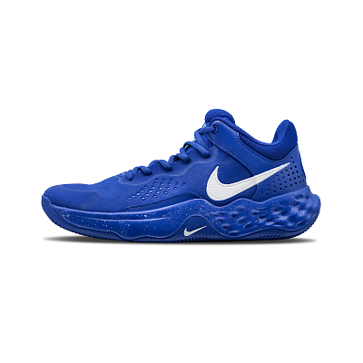 Nike Fly By Mid 3 Night Navigator PRO Scraping Mops Mid Top Basketball Shoes Men's White Blue